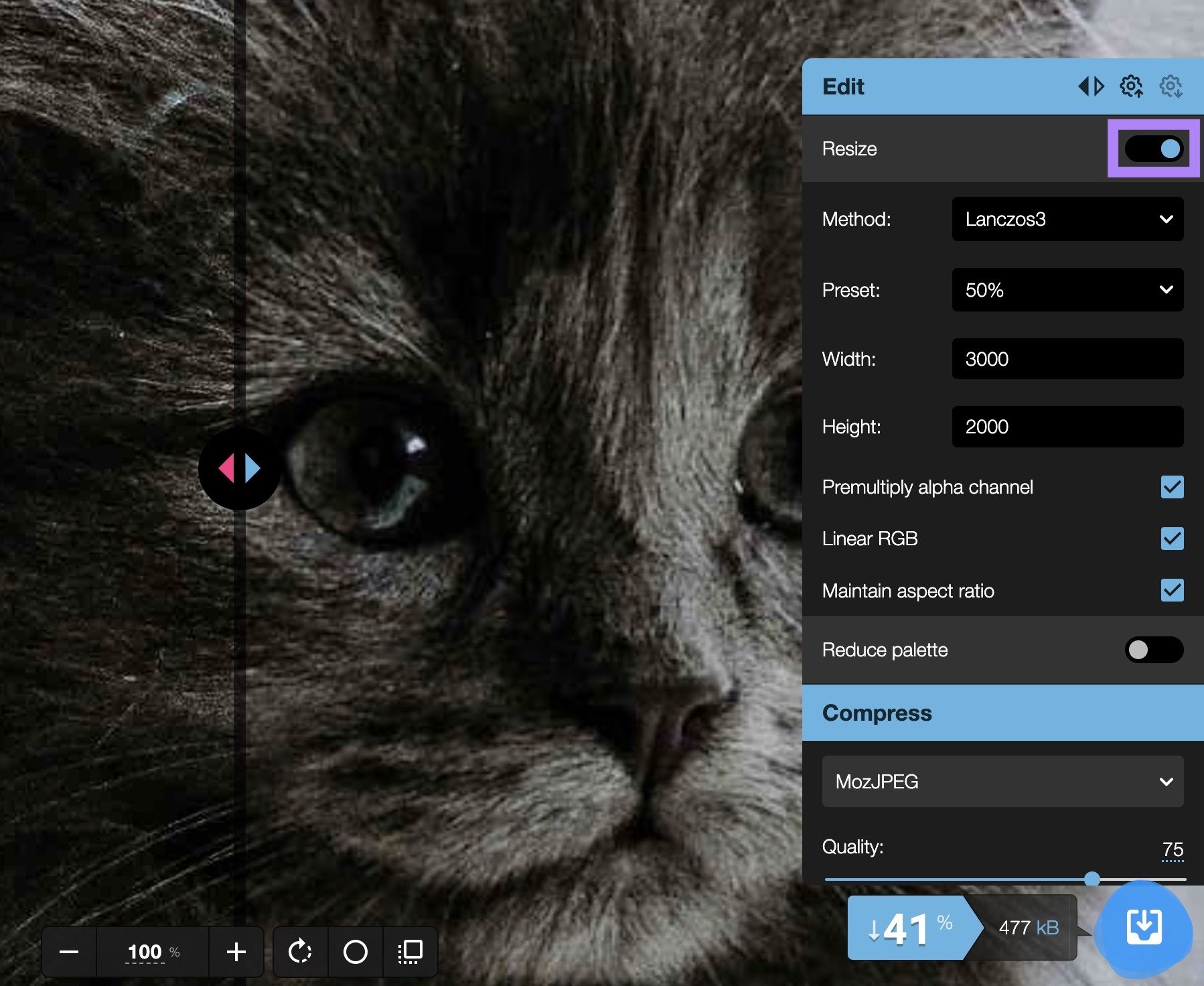 Squoosh interface with "Resize" toggled on.