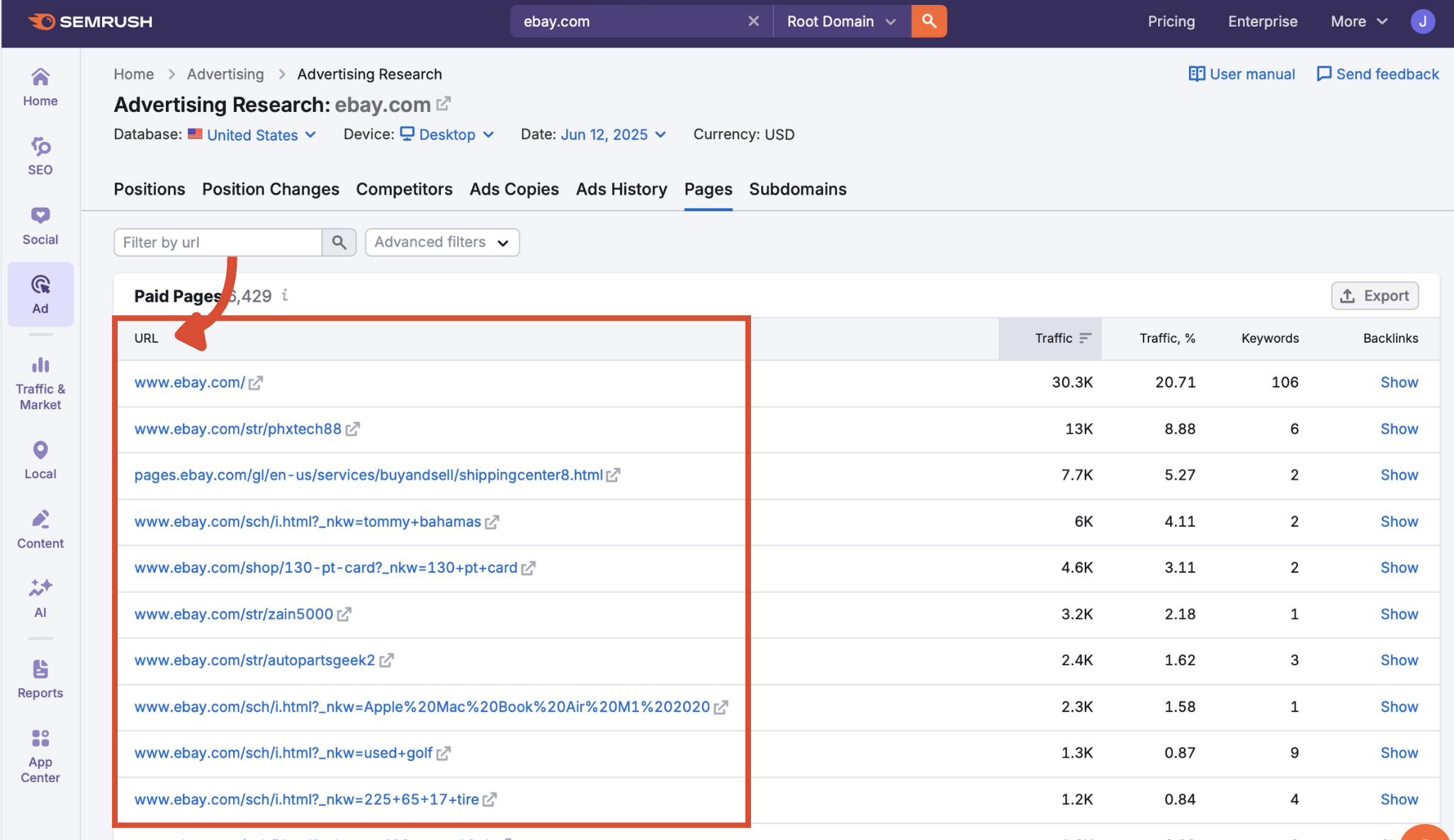 Paid landing page URLs listed in the Pages report.